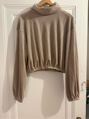 Cropped Turtle Neck Velvet Sweatshirt - Taupe
